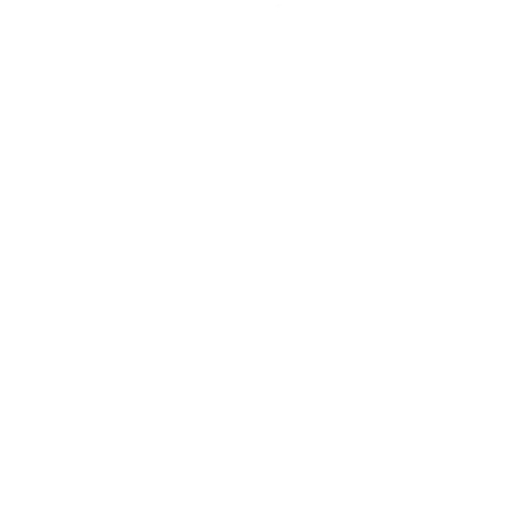 logo nado por las ballenas