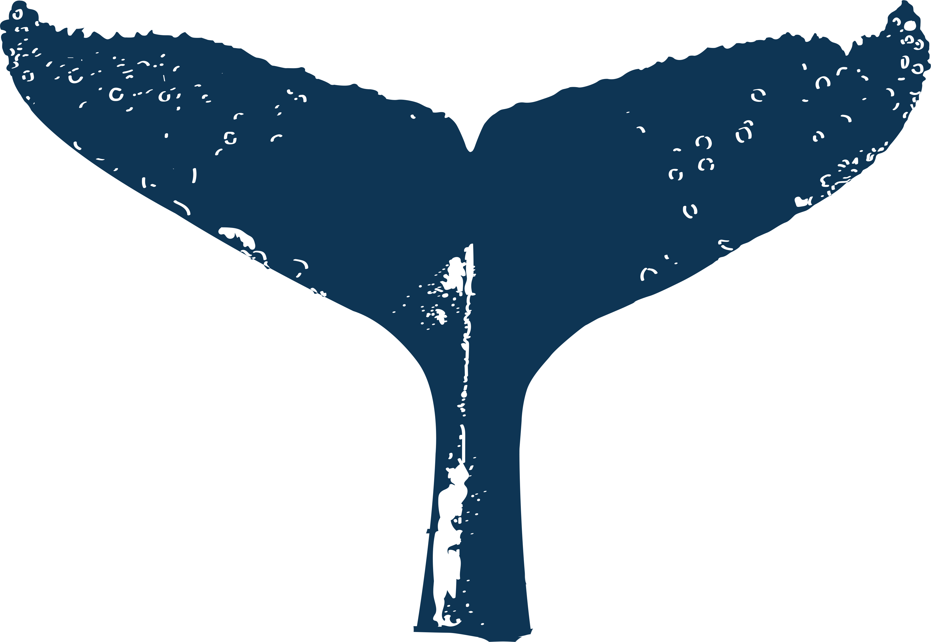 Logo Cola de Ballena