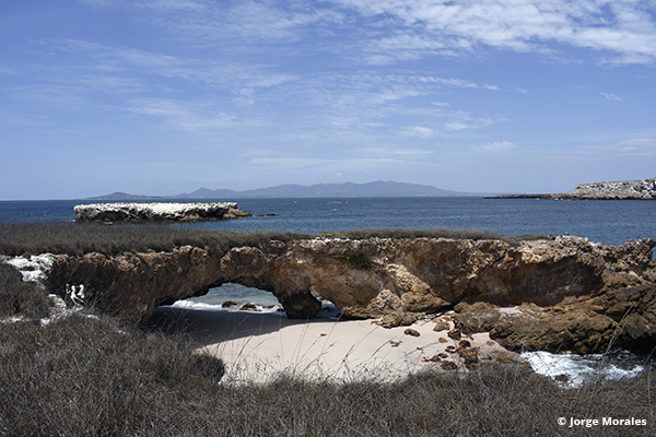 Imagen de un Área Natural Protegida