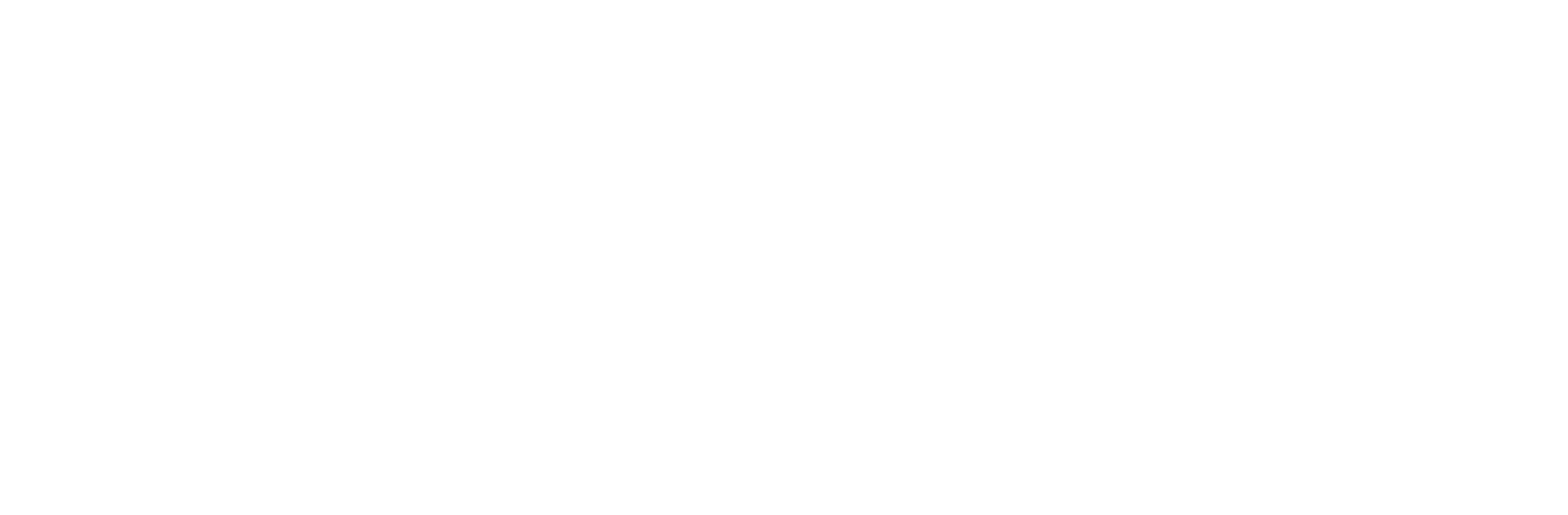 Logo Nado por las Ballenas