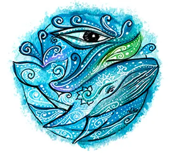 Vigilancia del avistamiento de ballenas